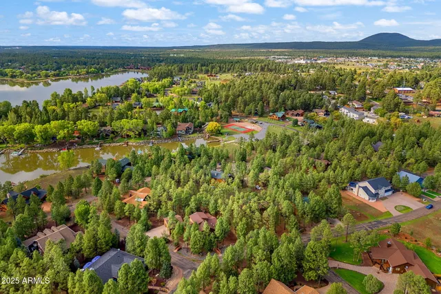 a view of a tree with a yard