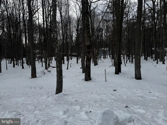 a view of a street with trees covered with snow