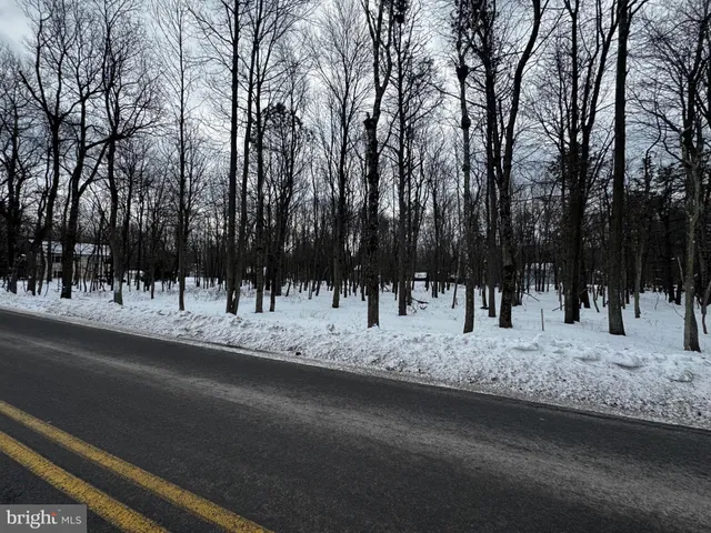 a view of lake background with green space
