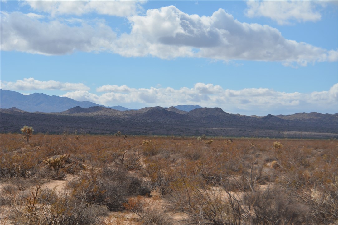 207-35-005 South Arlington Road Yucca, AZ 86438 - Photo 29 of 92