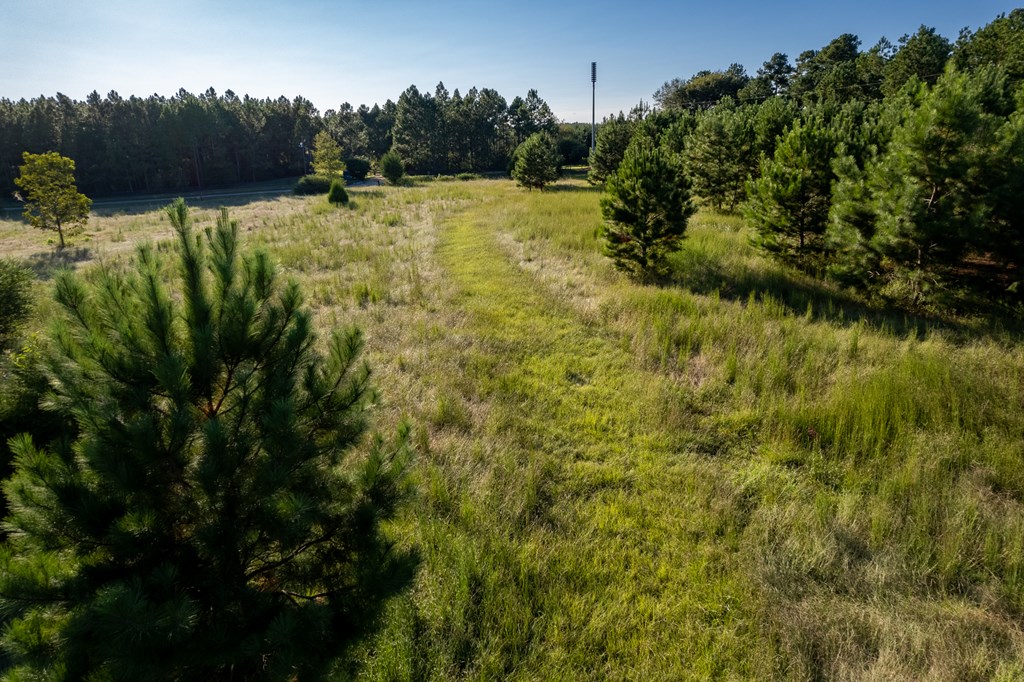 2226 Randall Wade Road Headland, AL 36345 - Photo 49 of 60