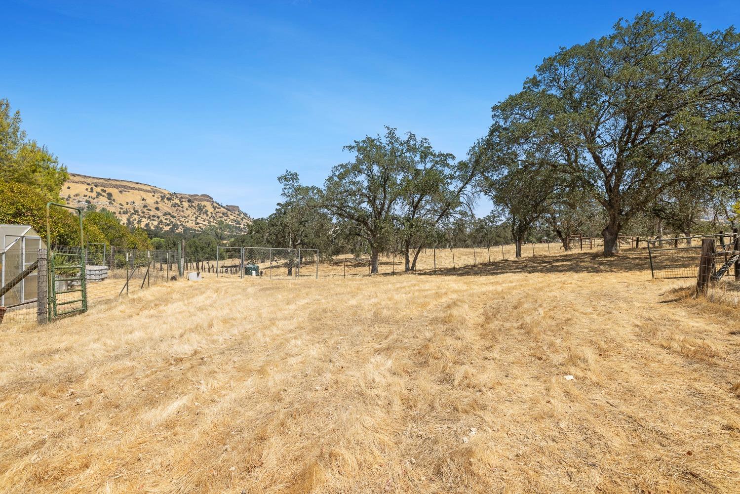 21697 Frontier Road Clovis, CA 93619 - Photo 63 of 89 Gallery Image 63