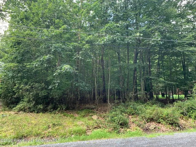 a view of backyard with green space