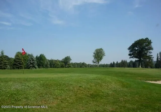 a view of a yard with plants and trees