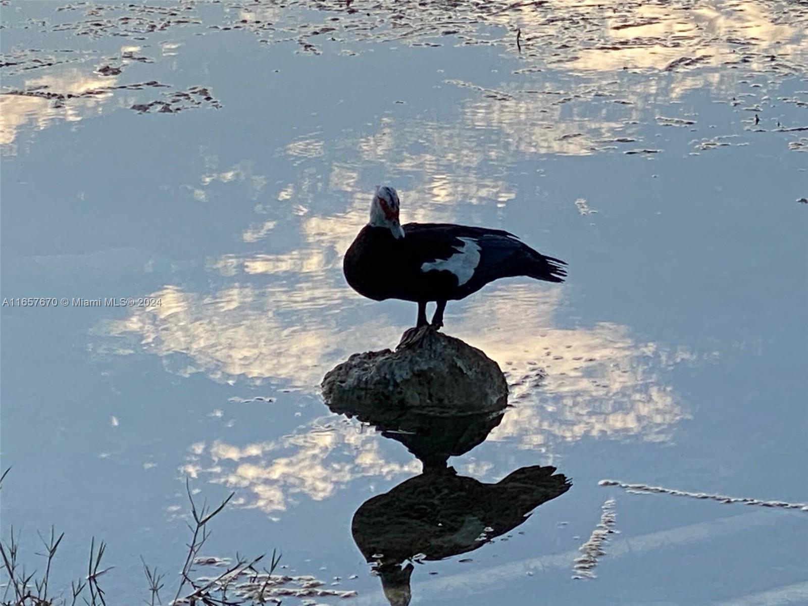 5011 Wiles Road, Unit 207 Coconut Creek, FL 33073 - Photo 7 of 18