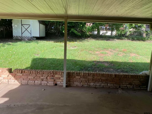 a view of a field with a tree