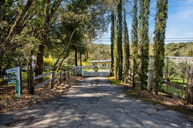 a view of a backyard with plants and trees