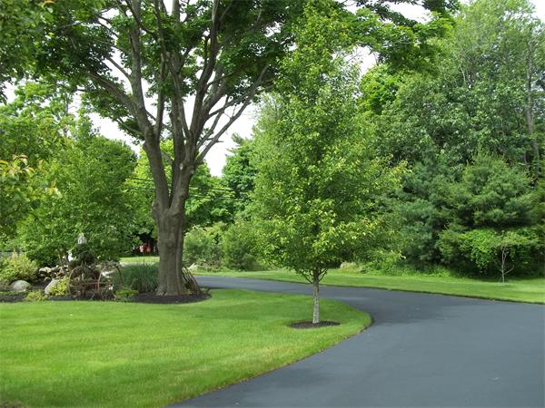 128 Clapp Road Scituate, MA 02066 - Photo 6 of 30 Gallery Image 6