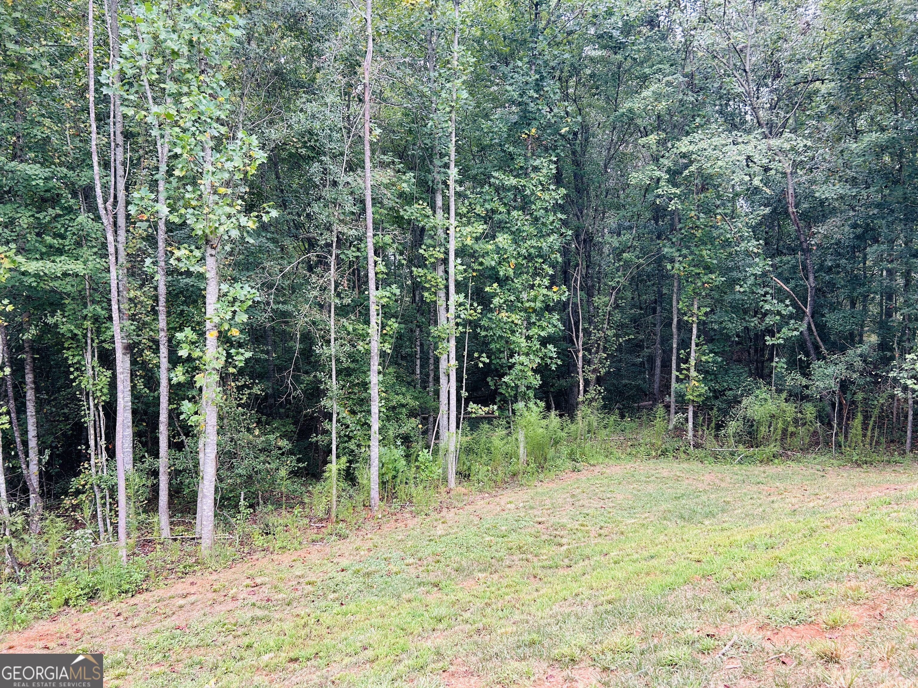 1027 Roberts Road Demorest, GA 30535 - Photo 28 of 32 Gallery Image 28