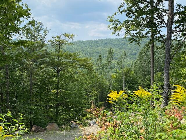 5 Eagle Ridge Road Kingfield, ME 04947 - Photo 2 of 12 lot 5