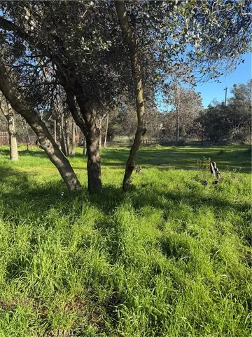 a view of lake with green space