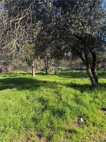 a view of a golf course