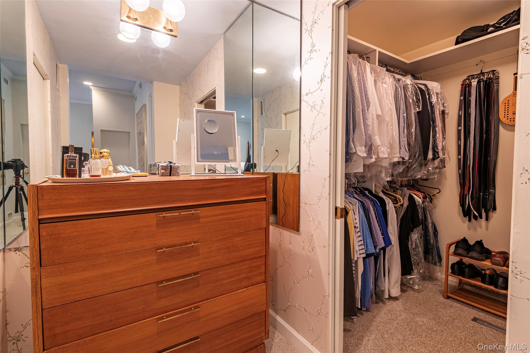 735 Remsens Lane Upper Brookville, NY 11771 - Photo 24 of 44 Spacious closet featuring light carpet
