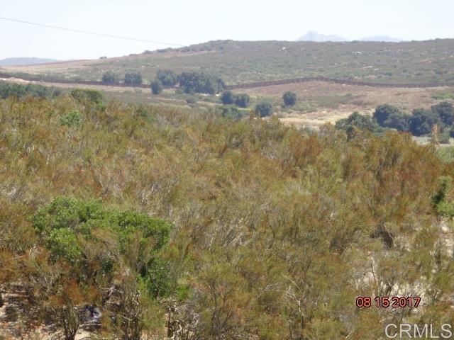 20-acres Buckman Spgs Road Campo, CA 91906 - Photo 3 of 4