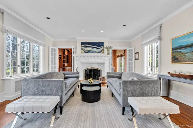 a living room with furniture and a fireplace