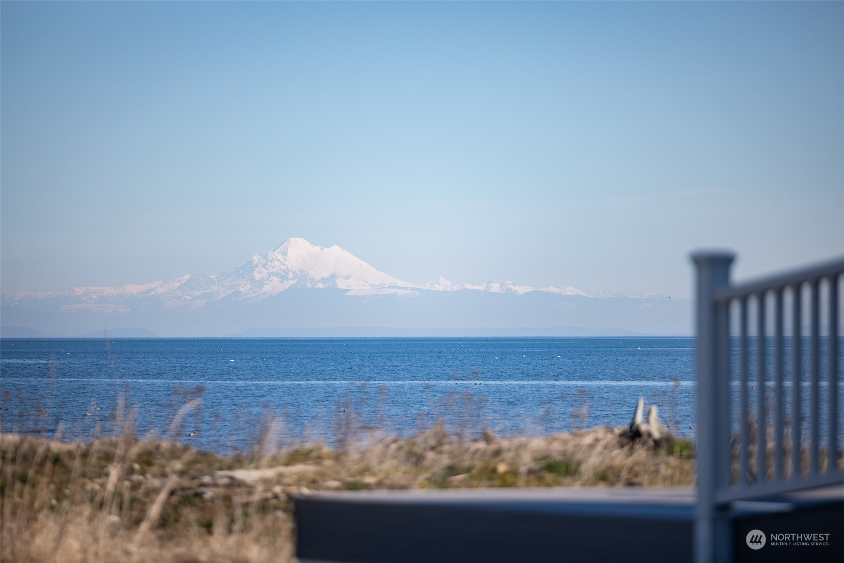 371 3 Crabs Road Sequim, WA 98382 - Photo 3 of 40 Gallery Image 3