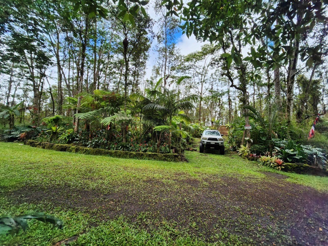 437 Crestview Circle Pahoa, HI 96778 - Photo 1 of 6 a view of a trees with a yard