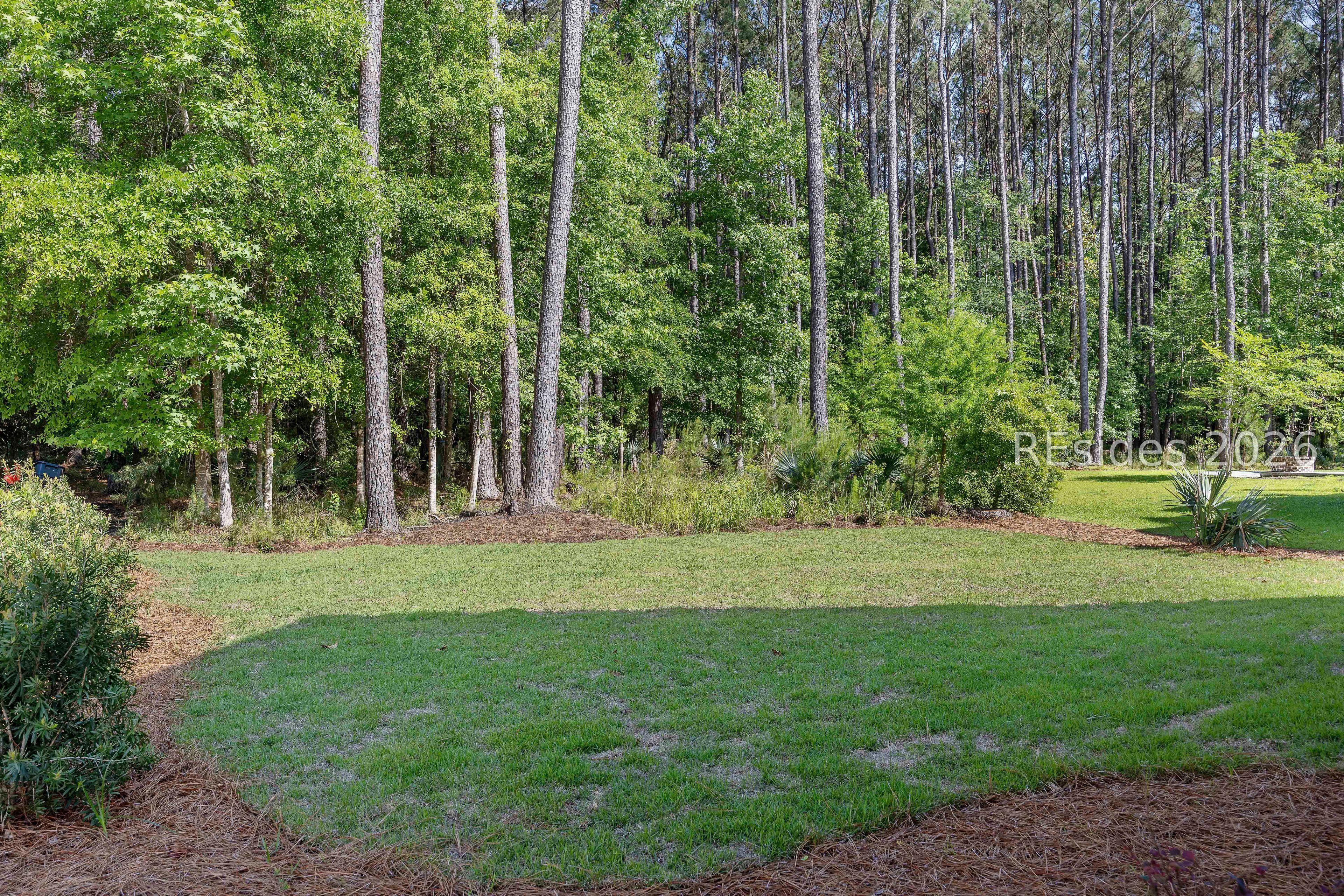 28 Blue Trail Court Bluffton, SC 29910 - Photo 68 of 89 Back yard leads to the protected preserve