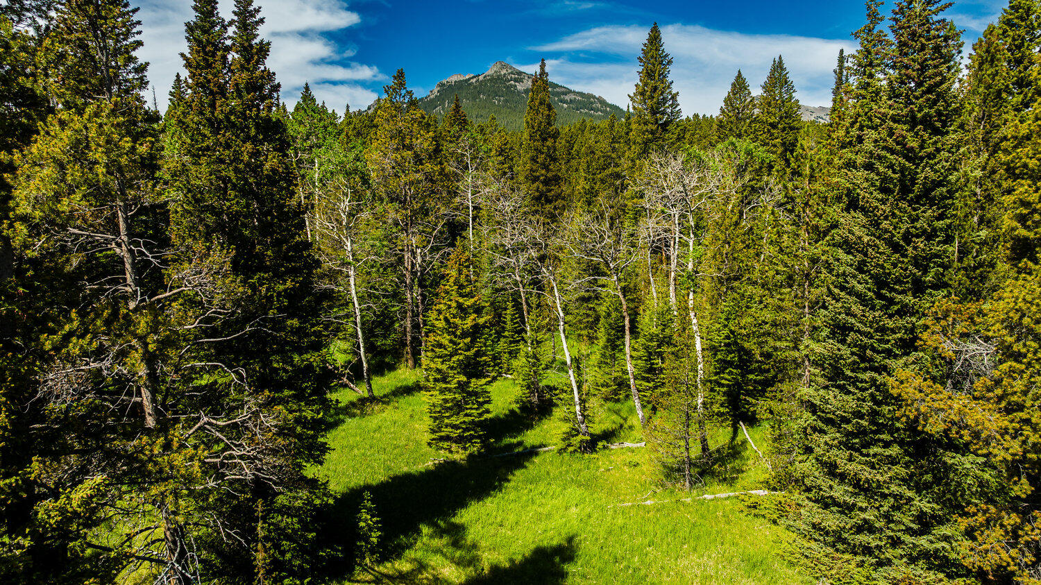 Hazelton Road Buffalo, WY 82834 - Photo 21 of 79 020_dji_20250628102501_0523_d_415