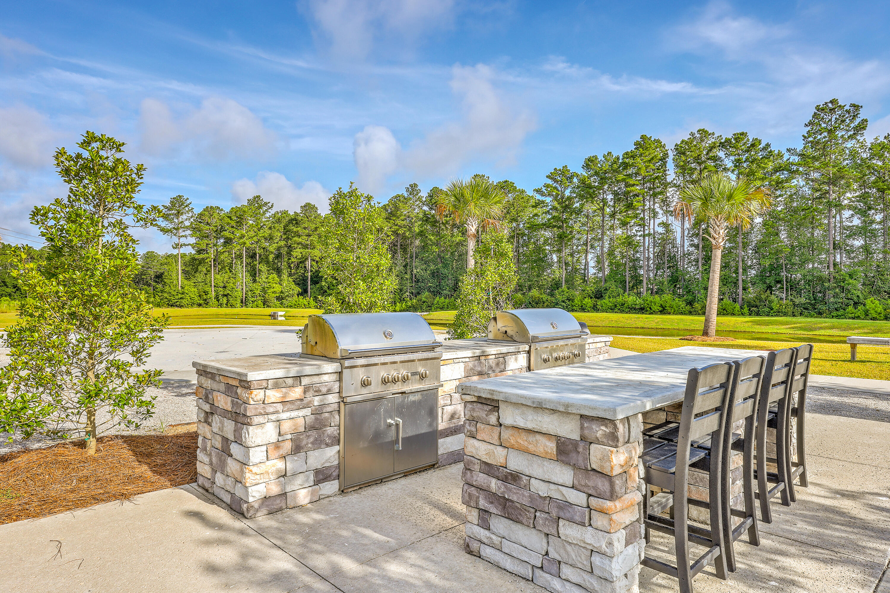 413 Cedarview Road Summerville, SC 29486 - Photo 6 of 47 Pool
