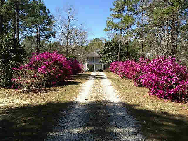 30885 Blakeley Way Daphne, AL 36527 - Photo 1 of 1
