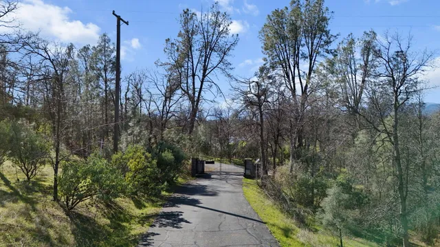 a view of a dry yard with trees