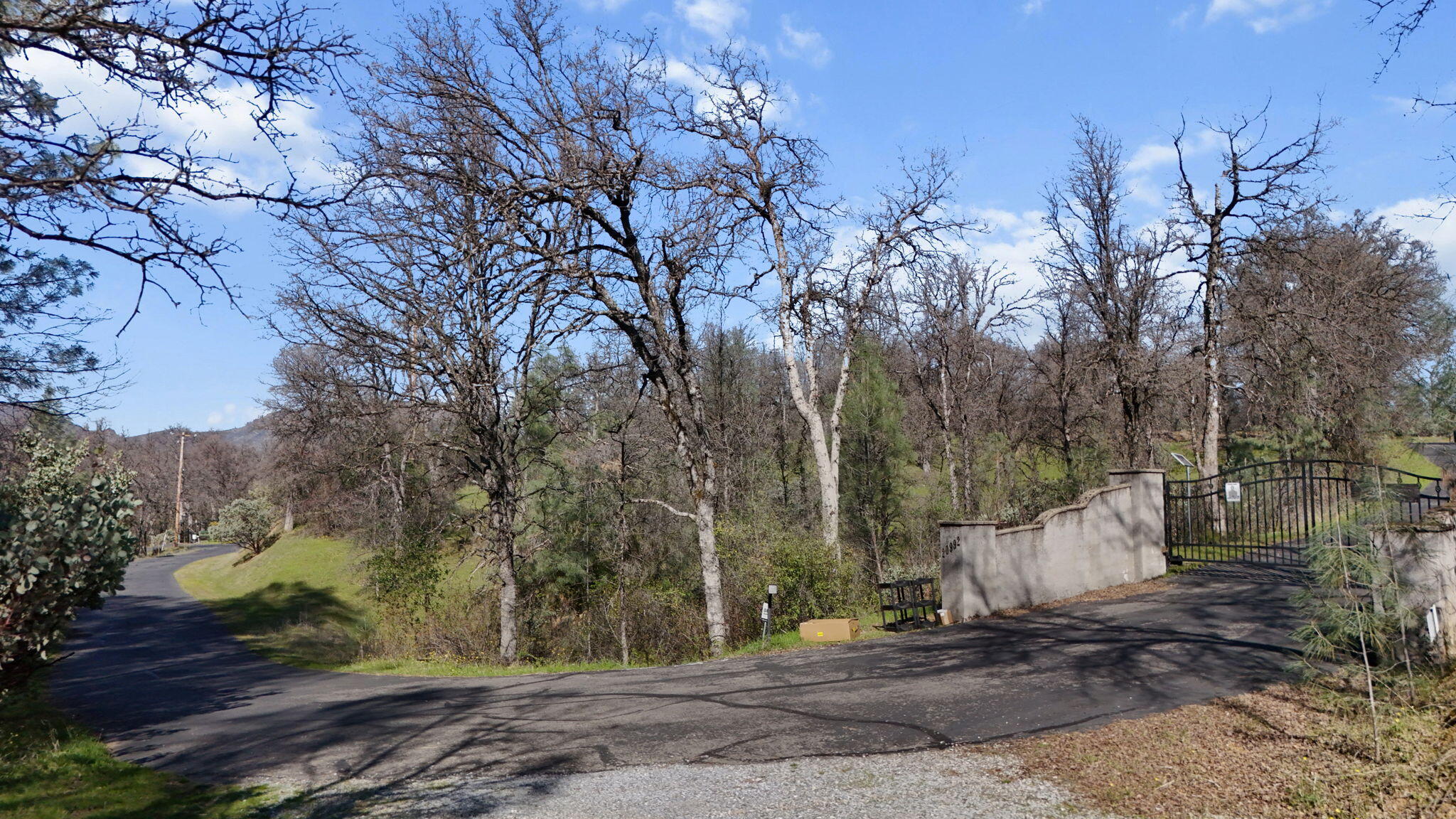 Nsa Bernard Way Redding, CA 96003 - Photo 18 of 20 a view of a dry yard with trees