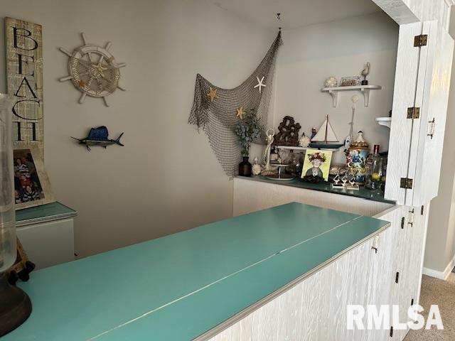 1903 Mound Road Jacksonville, IL 62650 - Photo 24 of 58