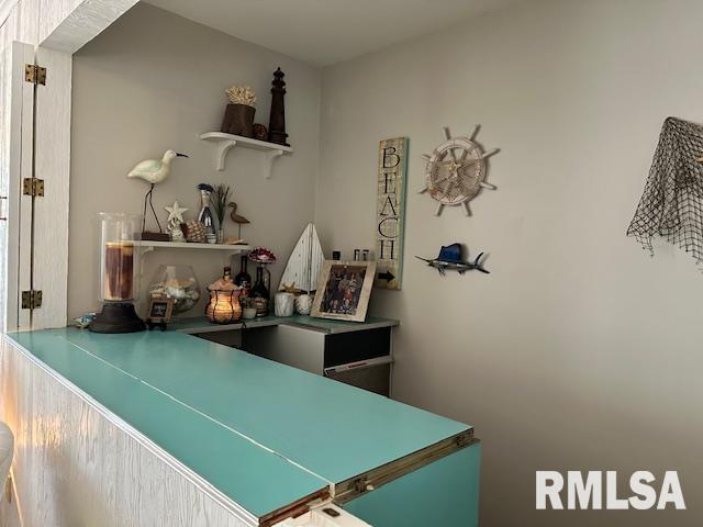 1903 Mound Road Jacksonville, IL 62650 - Photo 25 of 58