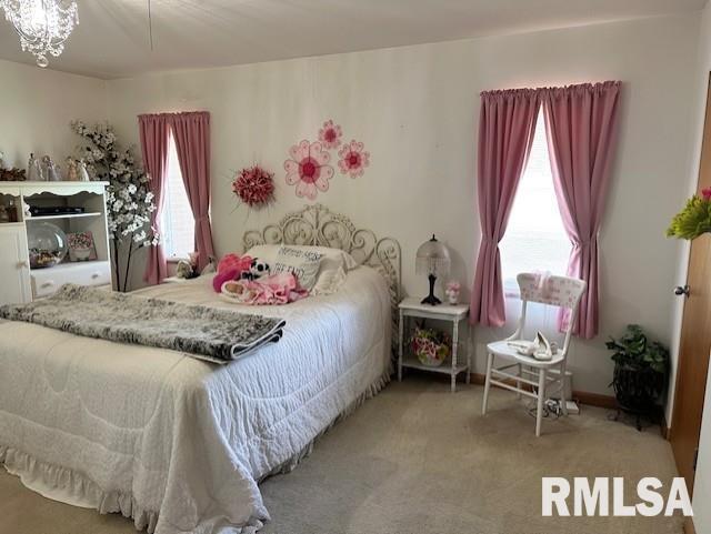 1903 Mound Road Jacksonville, IL 62650 - Photo 26 of 58