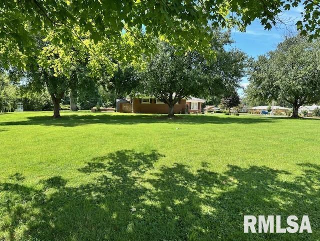 1903 Mound Road Jacksonville, IL 62650 - Photo 41 of 58