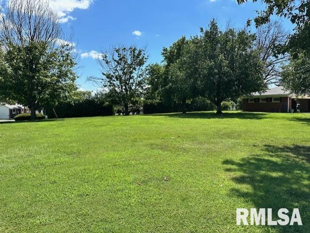 1903 Mound Road Jacksonville, IL 62650 - Photo 42 of 58