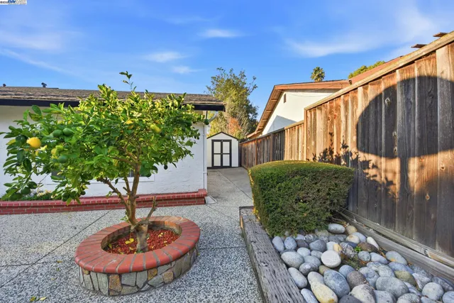 a view of a fountain in the backyard of a house