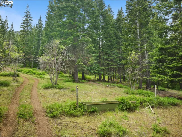 a view of a backyard