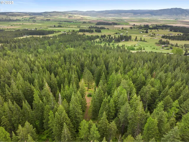 a view of lake with mountain
