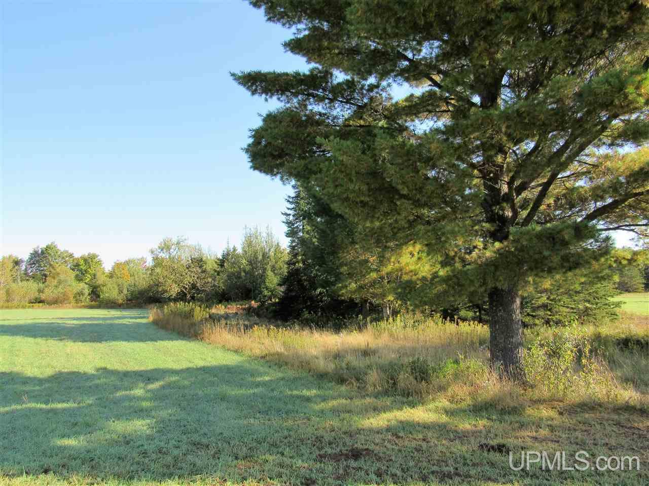 5226 Co Road Rock, MI 49880 - Photo 17 of 34