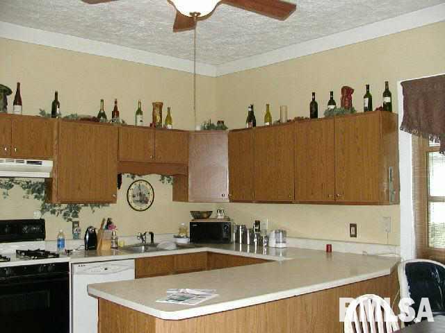 403 Decatur Street Lincoln, IL 62656 - Photo 1 of 8 Gallery Image 1