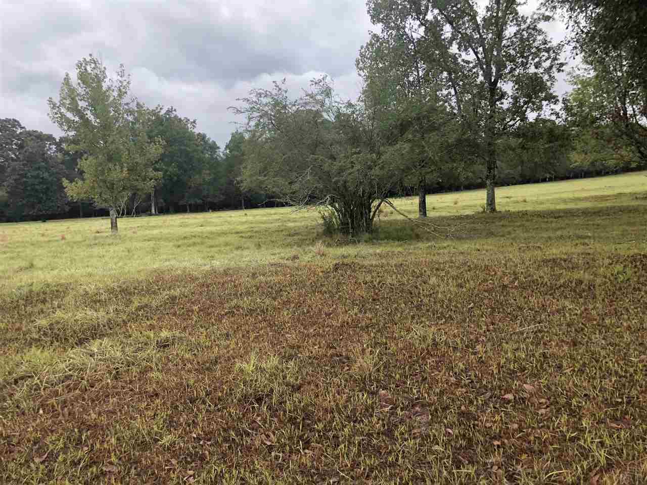 4700 Still Road Century, FL 32535 - Photo 18 of 48 Gallery Image 18