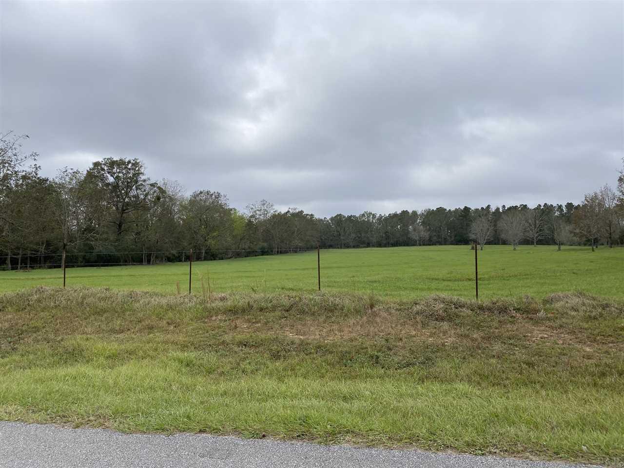 4700 Still Road Century, FL 32535 - Photo 44 of 48 Gallery Image 44