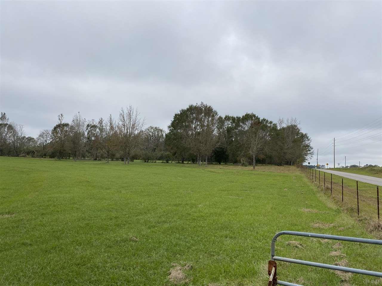 4700 Still Road Century, FL 32535 - Photo 7 of 48 Gallery Image 7