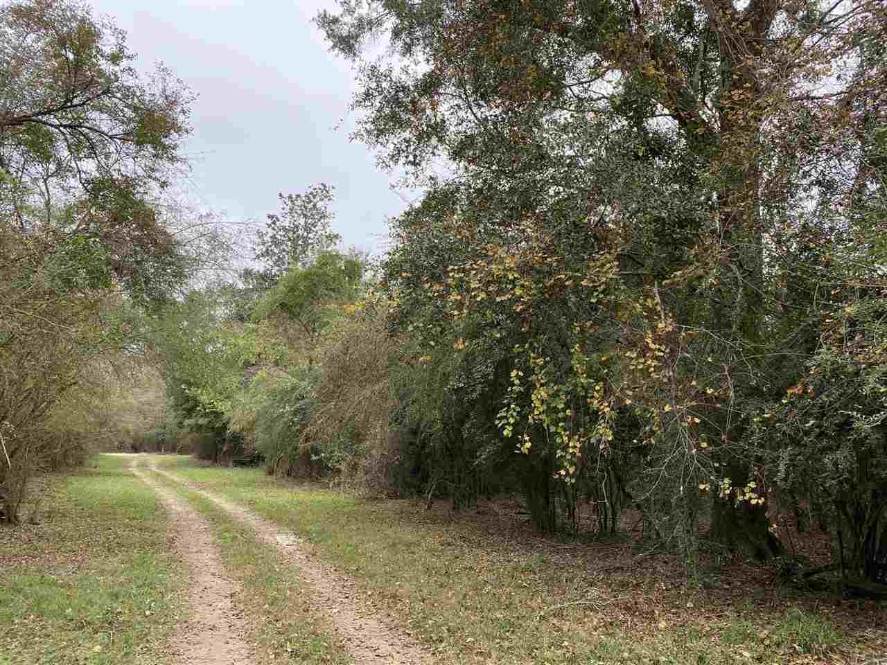 4700 Still Road Century, FL 32535 - Photo 9 of 48 Gallery Image 9