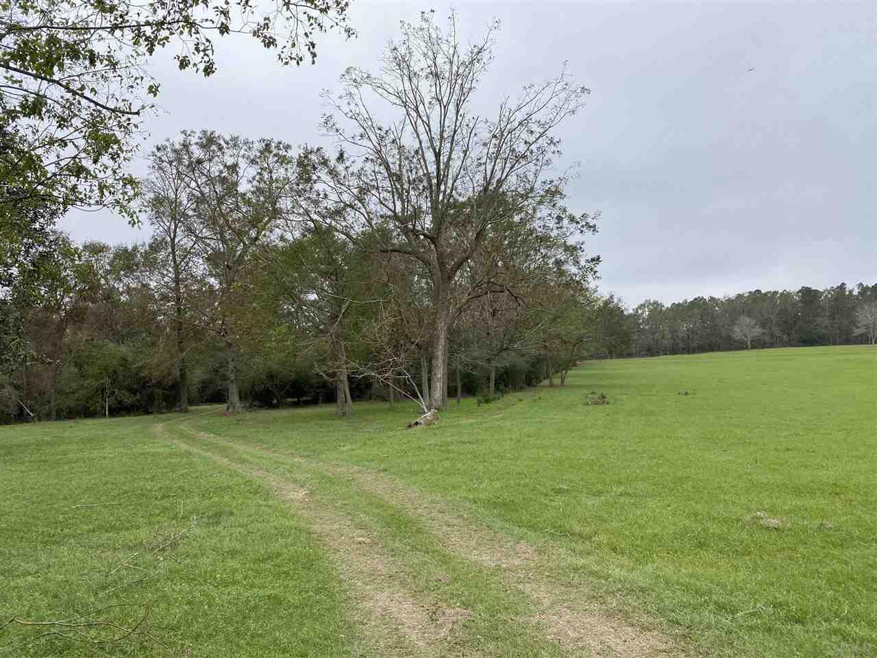 4700 Still Road Century, FL 32535 - Photo 10 of 48 Gallery Image 10