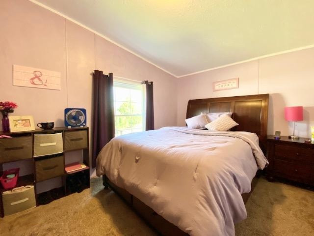 6008 North Maple Hill Road Morley, MI 49336 - Photo 26 of 48 IMG_7615