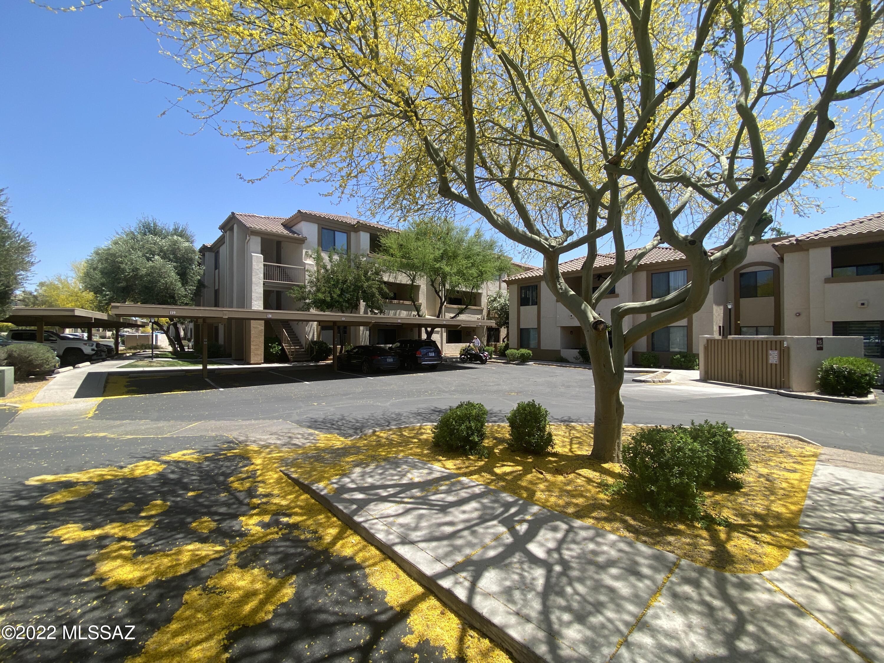 2550 East River Road, Unit 15103 Tucson, AZ 85718 - Photo 1 of 27