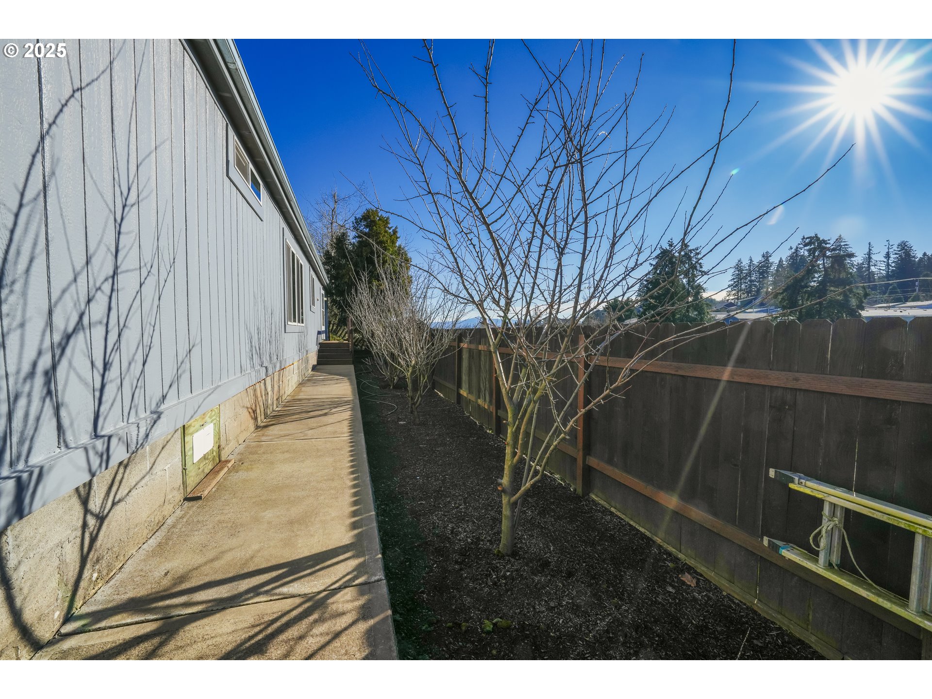 902 South 59th Street Springfield, OR 97478 - Photo 7 of 47