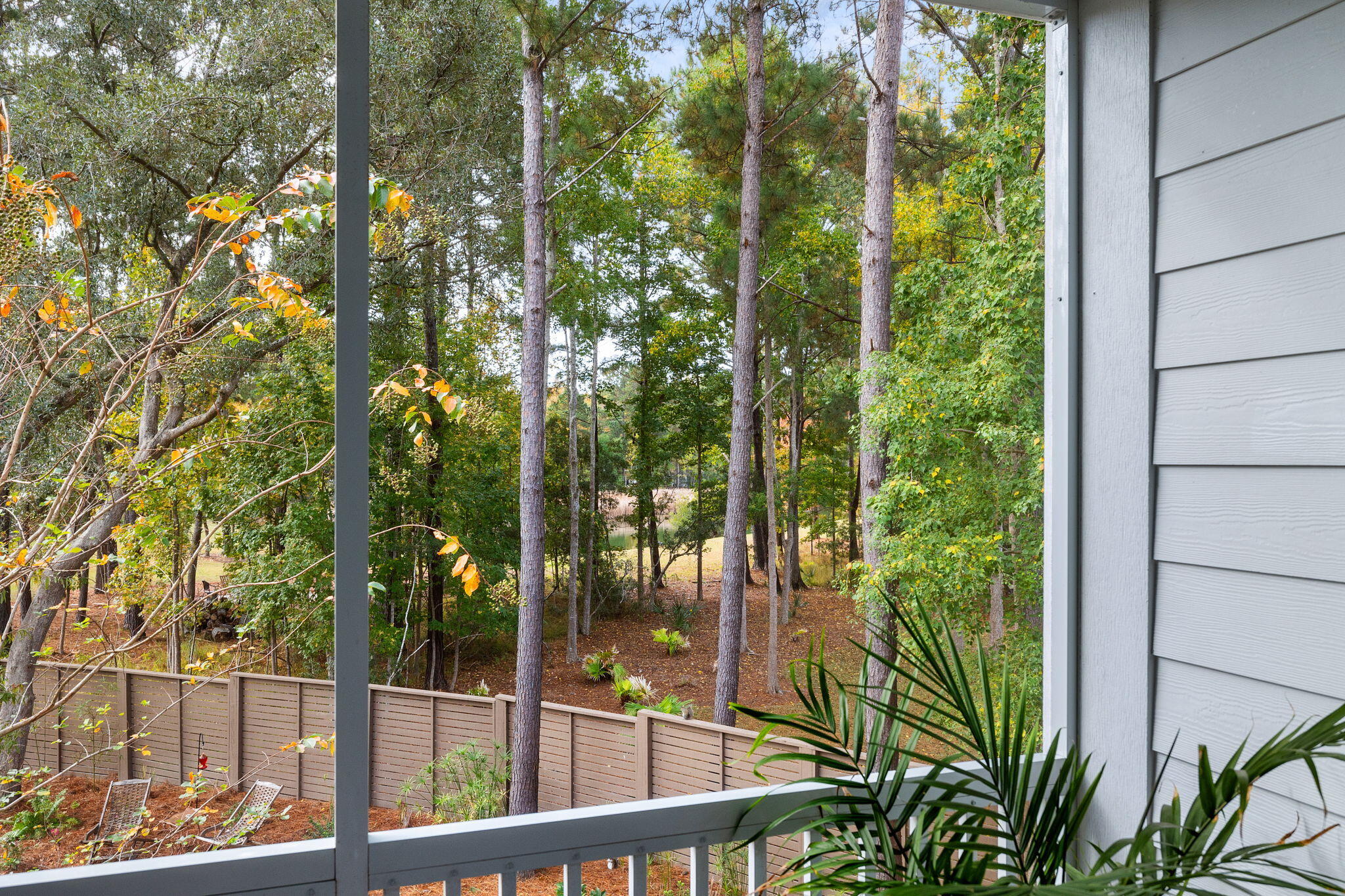 473 Woodspring Road Mount Pleasant, SC 29466 - Photo 23 of 41 Back View from Screened Porch