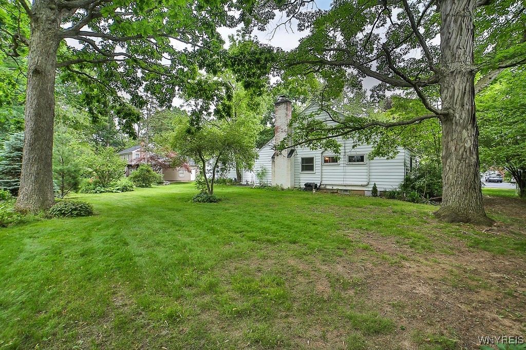 425 Tryon Drive Lewiston, NY 14092 - Photo 6 of 32 large, treed back yard