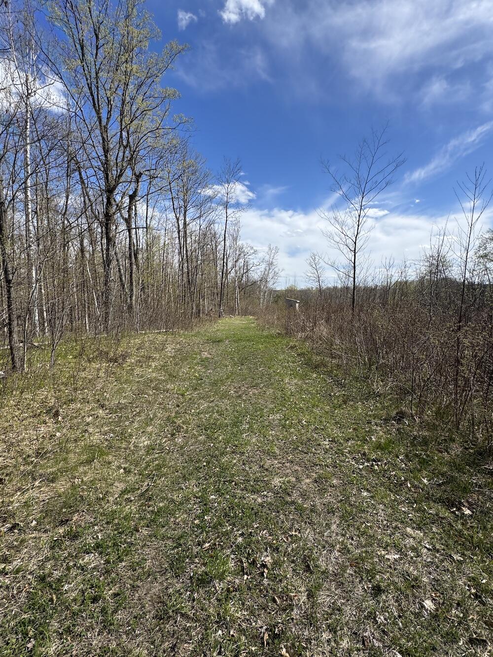Vl Curtisville Road Mio, MI 48647 - Photo 81 of 141 IMG_2315
