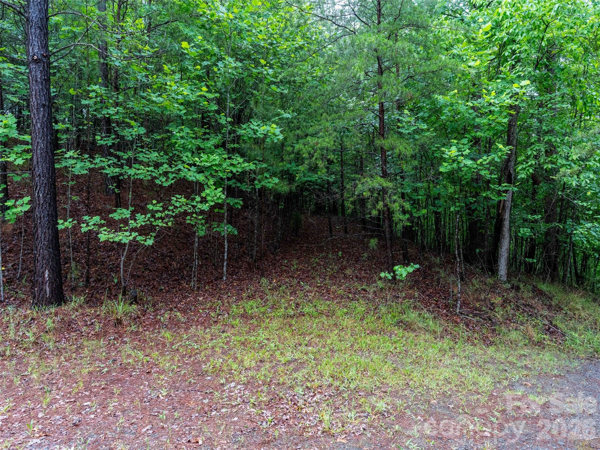 0 Bee Gee Drive Rutherfordton, NC 28139 - Photo 12 of 26