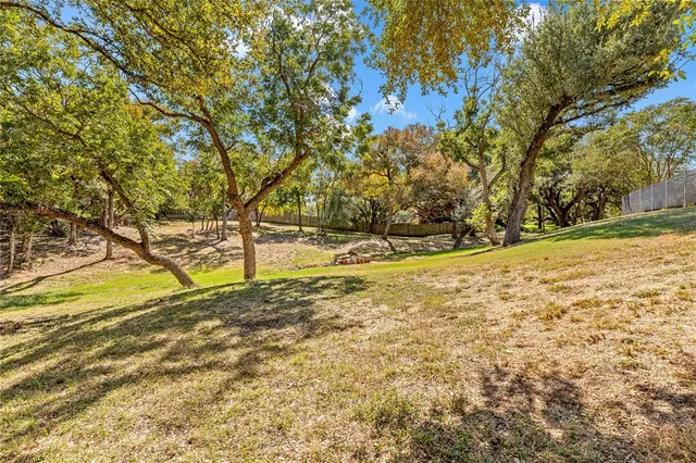 a view of yard with trees